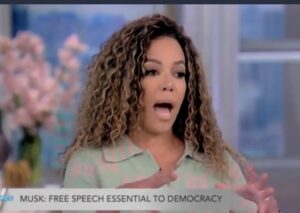 The View’s Sunny Hostin says Elon Musk bought Twitter for ‘straight white men’